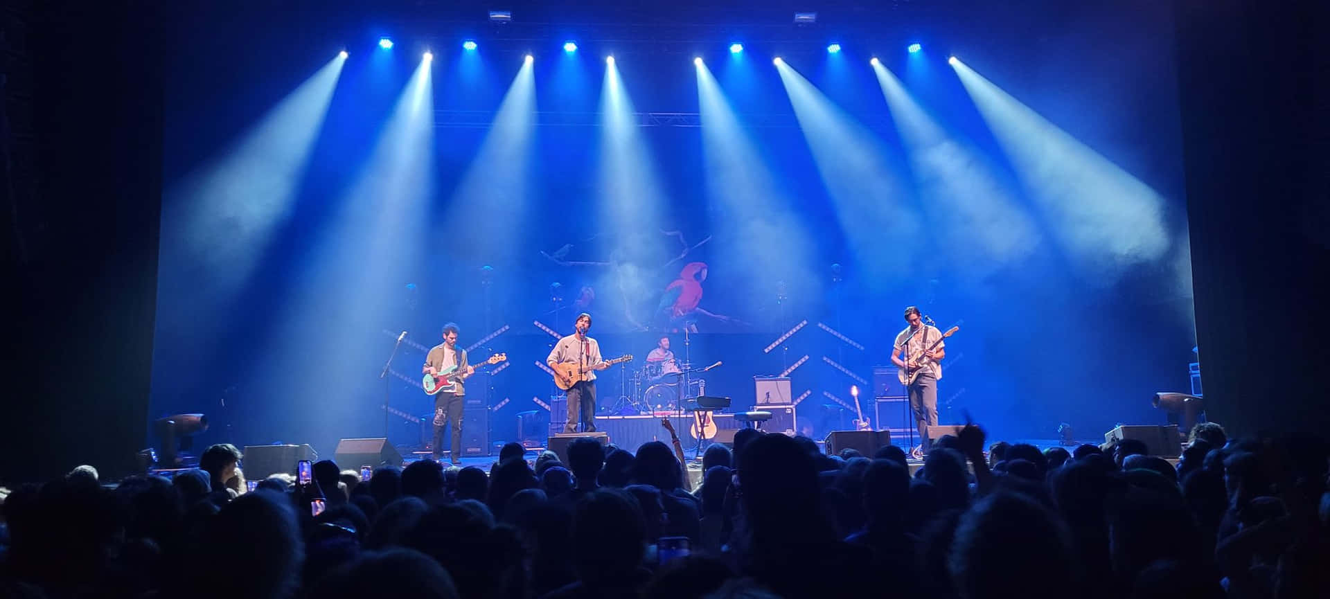 live music background