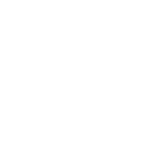 boat parade logo