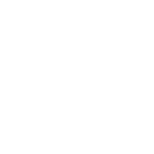 boat parade logo